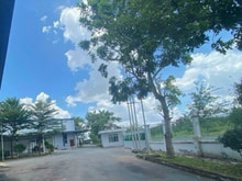 Hình ảnh Cho Thuê 3600m - 260tr Thuận An, BD. Trong Cụm sx, skc, Pháp lý đầy đủ