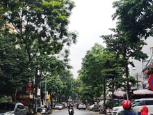 Hình ảnh Bán nhà mặt phố HOÀNG HOA THÁM - 6 Tầng THANG MÁY - Kinh doanh tốt