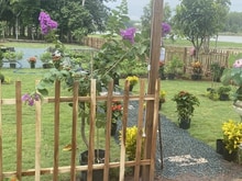 Hình ảnh Bán lô đất view hồ cực chill ngay trung tâm hành chính