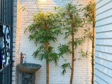 Hình ảnh Nhà ngang bề thế 5,1m - 4 lầu đẹp mê ly - Hẻm xe tải 10m