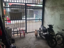 Hình ảnh Bán đất tặng nhà p.Hoà Bình cạnh chợ Biên Hoà