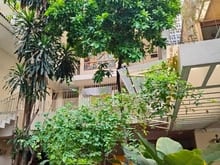 Hình ảnh Bán nhà đường Nguyễn Văn Trỗi, Tân Bình, 16x22m, GPXD:H+9 tầng, 69.9tỷ