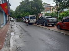 Hình ảnh Thanh Xuân, Giải Phóng, Hiếm, Kinh doanh