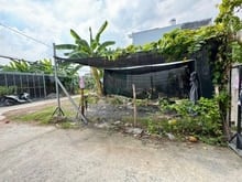 Hình ảnh Bán đất 20x60m giá 25 tỷ tl. đường 6m,thạnh xuân 14, quận 12