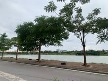 Hình ảnh Bán nhà dân 5 tầng căn góc khu TĐC X6 Thạch Bàn, gần hồ Ben, Cổ Linh