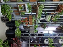 Hình ảnh Bán nhà nhỏ, xinh, vị trí tốt, không có căn thứ 2, giá rẻ nhất kv.