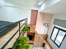 Hình ảnh Căn Hộ Duplex Cửa Sổ Tại Trần Xuân Soạn Quận 7