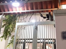 Hình ảnh Bán nhà Huỳnh Văn Bánh, Phú Nhuận,sát Mặt tiền,80m², 3 lầu nhỉnh 12 tỷ