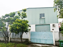 Hình ảnh Bán xưởng 1/ đường Bến Than - 629m2 - 14x45 - 615m2 thổ cư - Củ Chi