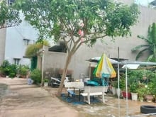 Hình ảnh Bán đất đường 339 , phước long, Quận 9, TP Thủ Đức - 60 tr/ m2