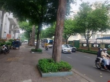 Hình ảnh ✅️biệt thự SÂN VƯỜN đường Lý Chính Thắng - Trần Quốc Thảo Q.3, 3 phong