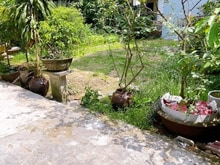 Hình ảnh 42m Đất thôn Trung Dương-ngay cạnh chợ Kiêu Kỵ- Hàng Xóm Bác Vượng