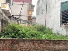 Hình ảnh Bán đất khu phân lô TRâu Quỳ -Ô tô vào đất- Khuôn tiền- Hiếm- Bay nhan