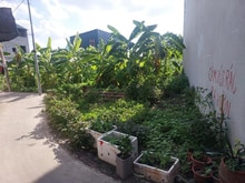 Hình ảnh 66mKiêu Kỵ Ôtô vào đất-cách Ôtô tránh 20m-Giá tốt-Đầu tư sinh lời cao