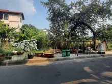 Hình ảnh Chính chủ bán đất biệt thự  khu dân cư Văn Minh,  10x16, An Phú Q2