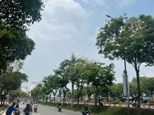 Hình ảnh Bán gấp MT Điện Biên Phủ, Bình Thạnh,NHỈNH 14 tỷ, 2 MẶT TIỀN, 72 M2
