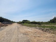 Hình ảnh Cho thuê đất 10.000m2; 20.000m2; 50.000m2 MT Ngô Quang Thắm, H. Nhà Bè