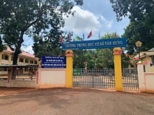 Hình ảnh Bán Rẻ 7 Sào Đất, Hơn 100m Mặt Tiền Đường, Kế Bên Ql4, Dân Cư Đông Đúc
