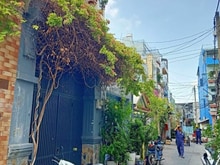 Hình ảnh Nhà siêu rẻ ngay Q10-Giá Trang MB66.COM Chính Thức - MB 66 Uy Tín- 7PN kinh doanh hết ý
