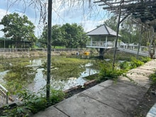 Hình ảnh 👑 Cho thuê mb dt 20.000m2 giá 40tr An Phú Củ Chi