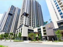 Hình ảnh Cho thuê Nhiều căn Hà Đô Centrosa,Q10.DT:60-140m2 Giá từ 18tr/tháng
