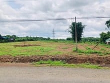 Hình ảnh cần bán 3065m2 đất ngay chợ gần kcn. giá 230tr
