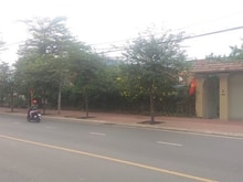 Hình ảnh Quỹ đất lớn 1433,2m2 full thổ góc 2MT Nguyễn Văn Bá - Pasteur Thủ Đức