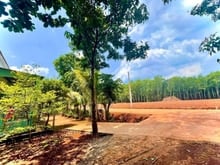 Hình ảnh Gòng Lãi NH Hết Nỗi BÁN Lô( 15X67=1002m2), CHƯA TỚI 400K/m2, SHR