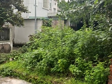 Hình ảnh Bán đất cao lỗ, 56m x 5m lô góc, oto 20m ngõ thông, giá nhỉnh 2 tỷ