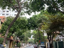 Hình ảnh Cho thuê biệt thự C37- KĐT Bắc Hà. DT 200m2, 4 nổi, 1 hầm. Giá 70 triệ
