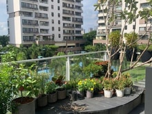 Hình ảnh Cho thuê Trang Chủ MB66.COM / Đăng Ký Tặng 66K sân vườn The Panorama, Phú Mỹ Hưng Quận 7 190m2 Giá 40