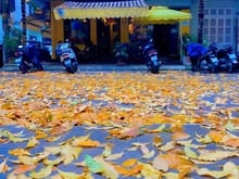 Hình ảnh 🎊Mặt phố VP Sầm Uất Nguỵ Như Kontum - Thanh xuân.!