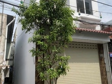 Hình ảnh BÁN NHÀ 2 Tân đúc Tân Chánh Hiệp7 Quận 12 giá rẻ 3.55 TỶ