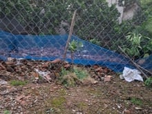 Hình ảnh Bán đất tuân lề tiên dương, 68m x 5m oto vào nhà, giá 3,x tỷ tl. lh: