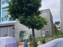 Hình ảnh Bán Lô Đất Đẹp Trong KDC Phú Mỹ Hiệp, TP Dĩ An. BD