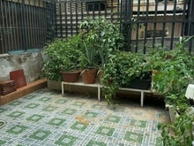 Hình ảnh Chính Chủ Bán Gấp Ra Căn Quang Trung P14 Gò Vấp,65m2,Giá 1Tỷ850,SHR