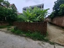 Hình ảnh Hiếm !!! bán đất xuân nộn 48m oto tránh thông chỉ nhỉnh 1 tỷ tl. lh:
