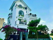 Hình ảnh Bán villa An Phú - An Khánh - 8x20 - Hầm 3 tầng - sổ hồng - Chính chủ