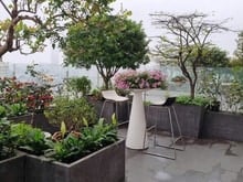 Hình ảnh Bán Trang Chủ MB66.COM / Đăng Ký Tặng 66K chung cư Duplex Penhouse Golden palase