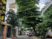 Hình ảnh Bán nhà hẻm xe hơi đường Phạm Viết Chánh, P19 Bình Thạnh