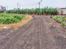 Hình ảnh Cần bán 1000m, quy hoạch đất Thương Mại Dịch Vụ, xác bên hồ Trị An