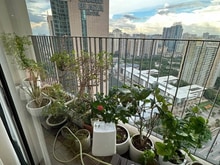 Hình ảnh Bán Trang Chủ MB66.COM / Đăng Ký Tặng 66K 3 ngủ D'cap , Trần Duy Hưng , Cầu giấy