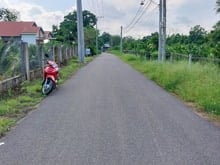Hình ảnh Bán nhà vườn 5000m full hồng, có 300m thổ cư, đường nhựa, xã Đồi 61