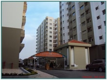 Hình ảnh Cho thuê Trang Chủ MB66.COM / Đăng Ký Tặng 66K Him Lam Nam Khánh Quận 8, Dt : 83m2 2PN, Giá : 9 tr/th