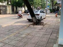 Hình ảnh Cho thuê nhà mặt tiền Nguyễn Thành Phương gần cầu Hiệp Hoà