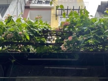 Hình ảnh Q.BT. HXH Chu Văn An, 31m2, nhà nở hậu, 4 tầng, 3PN