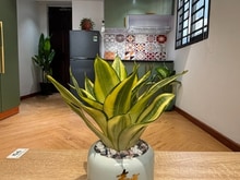 Hình ảnh Khai trương duplex ngay Vincom Nguyễn Xí - Phạm Văn Đồng