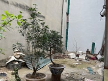 Hình ảnh Bán Gấp Đất **Ngọc Thuỵ**, 44m2, Ngõ Ô Tô, Giá 5,1 Tỷ