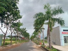 Hình ảnh Hiếm - Đất Nền Phân Lô  Nguyễn Xiển, Gần Vinhome ,Trường Thạnh,Quận 09