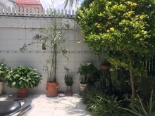 Hình ảnh Bán nhà cấp 4 Nguyễn Thị Tú Bình Tân 101m2(5x20m) chỉ 4,9 tỷ.